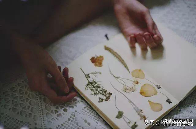 花是浇死的,人是气死的!(值得一看)