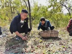 　厉害了！这个小伙把佳