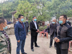 陕西商洛：疫情防控战线上的最美逆行者 ——丹凤县医保局驻花瓶子镇赵湾村