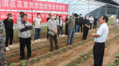 陕西：临渭区高素质农民培训恰逢其时