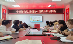 陕西山阳：十里铺街道卫生院召开慢性病中医药健康管理业务培训会