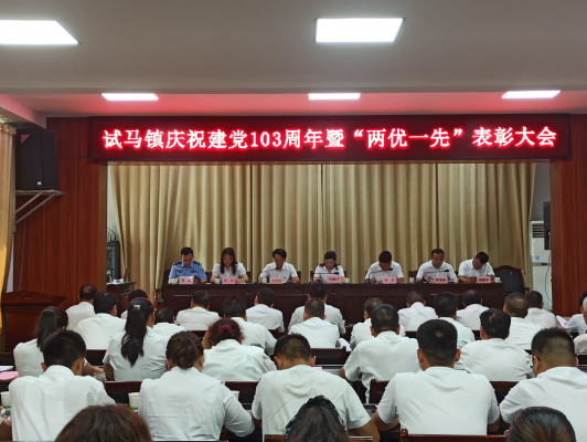 商洛市商南县：试马镇召