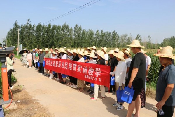 渭南临渭区：田间课堂接地气 提质增效促收益