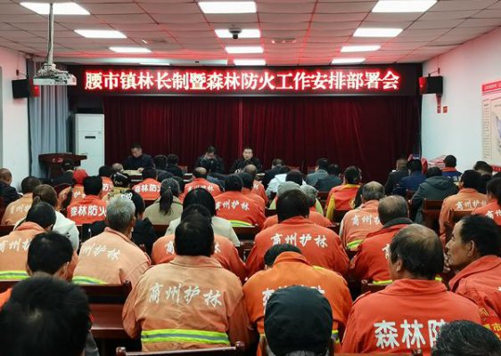 商洛商州：腰市镇召开林长制暨森林防火安排部署会