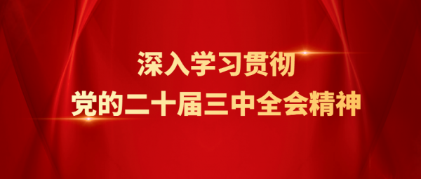 榆林榆阳：金鸡滩镇 做好
