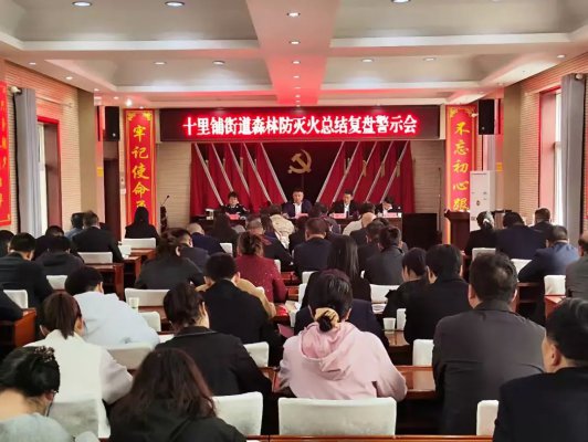 商洛山阳县十里铺街办：召开森林防灭火总结复盘警示会