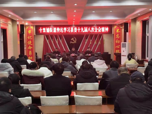 商洛山阳：十里铺街道迅速传达学习县委十九届八次全会精神