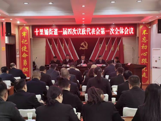 商洛山阳：十里铺街道召开第一届议政代表大会第四次会议
