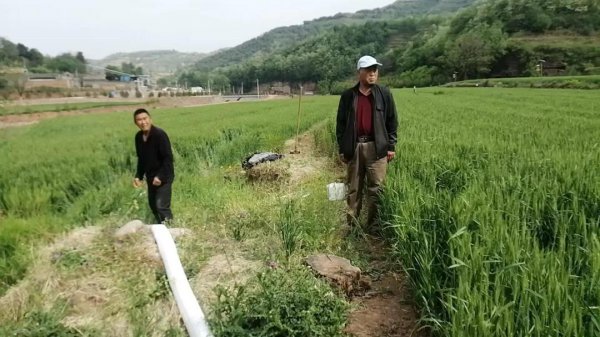 渭南韩城：西庄镇楼枝村